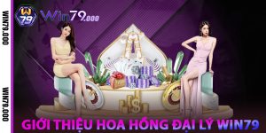 Giới thiệu về Hoa hồng đại lý WIN79
